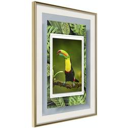 Arkiio Affisch Toucan [Poster] 30x45 Poster